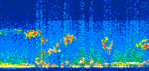 /calipso-imagery/data/BROWSE/production/V5-00/2016-10-20/2016-10-20_23-03-11_V5.00_3_thmb.png image missing