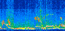 /calipso-imagery/data/BROWSE/production/V5-00/2016-10-22/2016-10-22_16-15-06_V5.00_2_thmb.png image missing