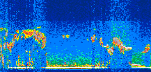 /calipso-imagery/data/BROWSE/production/V5-00/2016-10-23/2016-10-23_03-47-13_V5.00_3_thmb.png image missing