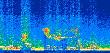 /calipso-imagery/data/BROWSE/production/V5-00/2016-10-23/2016-10-23_23-33-45_V5.00_2_thmb.png image missing