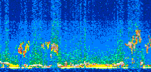 /calipso-imagery/data/BROWSE/production/V5-00/2016-10-24/2016-10-24_01-12-36_V5.00_2_thmb.png image missing