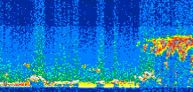 /calipso-imagery/data/BROWSE/production/V5-00/2016-10-24/2016-10-24_06-09-16_V5.00_2_thmb.png image missing