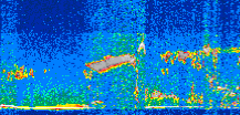 /calipso-imagery/data/BROWSE/production/V5-00/2016-10-24/2016-10-24_17-41-23_V5.00_2_thmb.png image missing