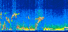 /calipso-imagery/data/BROWSE/production/V5-00/2016-10-24/2016-10-24_17-41-23_V5.00_3_thmb.png image missing