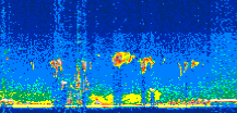 /calipso-imagery/data/BROWSE/production/V5-00/2016-10-31/2016-10-31_14-29-10_V5.00_3_thmb.png image missing