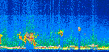 /calipso-imagery/data/BROWSE/production/V5-00/2016-10-31/2016-10-31_22-43-31_V5.00_2_thmb.png image missing