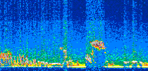 /calipso-imagery/data/BROWSE/production/V5-00/2016-11-04/2016-11-04_20-39-34_V5.00_2_thmb.png image missing