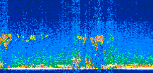 /calipso-imagery/data/BROWSE/production/V5-00/2016-11-21/2016-11-21_21-21-23_V5.00_3_thmb.png image missing