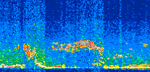 /calipso-imagery/data/BROWSE/production/V5-00/2016-11-26/2016-11-26_01-53-02_V5.00_2_thmb.png image missing