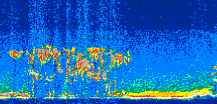 /calipso-imagery/data/BROWSE/production/V5-00/2016-11-26/2016-11-26_08-28-33_V5.00_3_thmb.png image missing