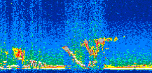 /calipso-imagery/data/BROWSE/production/V5-00/2016-11-26/2016-11-26_10-07-23_V5.00_2_thmb.png image missing