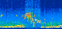 /calipso-imagery/data/BROWSE/production/V5-00/2016-11-26/2016-11-26_15-04-04_V5.00_3_thmb.png image missing