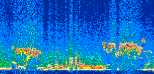 /calipso-imagery/data/BROWSE/production/V5-00/2016-11-28/2016-11-28_01-40-33_V5.00_2_thmb.png image missing