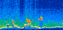 /calipso-imagery/data/BROWSE/production/V5-00/2016-11-29/2016-11-29_12-16-58_V5.00_2_thmb.png image missing