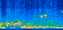 /calipso-imagery/data/BROWSE/production/V5-00/2016-11-30/2016-11-30_06-24-40_V5.00_2_thmb.png image missing