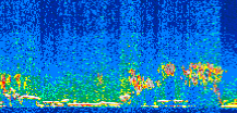 /calipso-imagery/data/BROWSE/production/V5-00/2016-11-30/2016-11-30_09-42-26_V5.00_2_thmb.png image missing