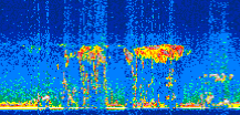 /calipso-imagery/data/BROWSE/production/V5-00/2016-12-21/2016-12-21_03-24-58_V5.00_3_thmb.png image missing