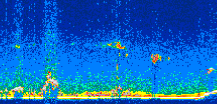 /calipso-imagery/data/BROWSE/production/V5-00/2016-12-21/2016-12-21_08-21-33_V5.00_3_thmb.png image missing