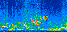 /calipso-imagery/data/BROWSE/production/V5-00/2016-12-21/2016-12-21_14-57-09_V5.00_2_thmb.png image missing