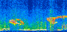 /calipso-imagery/data/BROWSE/production/V5-00/2016-12-21/2016-12-21_16-35-59_V5.00_2_thmb.png image missing