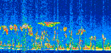 /calipso-imagery/data/BROWSE/production/V5-00/2016-12-21/2016-12-21_16-35-59_V5.00_3_thmb.png image missing