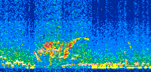 /calipso-imagery/data/BROWSE/production/V5-00/2016-12-21/2016-12-21_19-53-50_V5.00_2_thmb.png image missing
