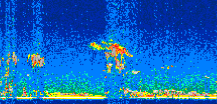 /calipso-imagery/data/BROWSE/production/V5-00/2016-12-21/2016-12-21_23-11-35_V5.00_3_thmb.png image missing