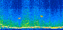 /calipso-imagery/data/BROWSE/production/V5-00/2016-12-26/2016-12-26_07-01-24_V5.00_2_thmb.png image missing