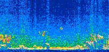 /calipso-imagery/data/BROWSE/production/V5-00/2016-12-28/2016-12-28_00-13-35_V5.00_2_thmb.png image missing