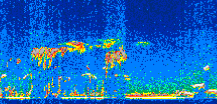/calipso-imagery/data/BROWSE/production/V5-00/2016-12-28/2016-12-28_03-31-20_V5.00_3_thmb.png image missing