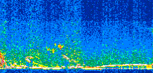 /calipso-imagery/data/BROWSE/production/V5-00/2016-12-28/2016-12-28_06-49-05_V5.00_2_thmb.png image missing