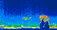 /calipso-imagery/data/BROWSE/production/V5-00/2016-12-28/2016-12-28_11-45-46_V5.00_4_thmb.png image missing