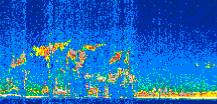 /calipso-imagery/data/BROWSE/production/V5-00/2016-12-28/2016-12-28_16-42-27_V5.00_3_thmb.png image missing