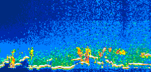 /calipso-imagery/data/BROWSE/production/V5-00/2016-12-29/2016-12-29_02-35-48_V5.00_1_thmb.png image missing