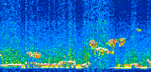 /calipso-imagery/data/BROWSE/production/V5-00/2016-12-29/2016-12-29_02-35-48_V5.00_2_thmb.png image missing