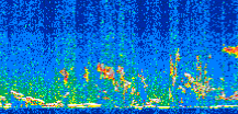 /calipso-imagery/data/BROWSE/production/V5-00/2016-12-29/2016-12-29_04-14-38_V5.00_2_thmb.png image missing