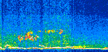/calipso-imagery/data/BROWSE/production/V5-00/2016-12-29/2016-12-29_05-53-34_V5.00_2_thmb.png image missing