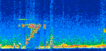 /calipso-imagery/data/BROWSE/production/V5-00/2016-12-29/2016-12-29_07-32-24_V5.00_3_thmb.png image missing