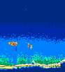 /calipso-imagery/data/BROWSE/production/V5-00/2016-12-29/2016-12-29_13-21-40_V5.00_4_thmb.png image missing