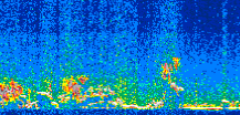 /calipso-imagery/data/BROWSE/production/V5-00/2016-12-29/2016-12-29_14-08-00_V5.00_2_thmb.png image missing
