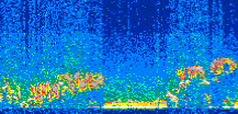 /calipso-imagery/data/BROWSE/production/V5-00/2016-12-30/2016-12-30_01-40-11_V5.00_2_thmb.png image missing