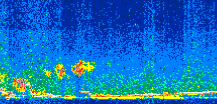 /calipso-imagery/data/BROWSE/production/V5-00/2016-12-30/2016-12-30_06-36-52_V5.00_2_thmb.png image missing