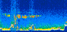 /calipso-imagery/data/BROWSE/production/V5-00/2016-12-30/2016-12-30_06-36-52_V5.00_3_thmb.png image missing