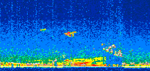 /calipso-imagery/data/BROWSE/production/V5-00/2016-12-30/2016-12-30_14-51-18_V5.00_3_thmb.png image missing