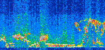 /calipso-imagery/data/BROWSE/production/V5-00/2017-01-13/2017-01-13_05-11-06_V5.00_2_thmb.png image missing