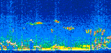 /calipso-imagery/data/BROWSE/production/V5-00/2017-01-13/2017-01-13_08-28-51_V5.00_3_thmb.png image missing