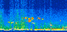 /calipso-imagery/data/BROWSE/production/V5-00/2017-01-13/2017-01-13_10-07-46_V5.00_2_thmb.png image missing