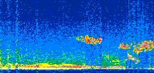 /calipso-imagery/data/BROWSE/production/V5-00/2017-01-13/2017-01-13_15-04-27_V5.00_3_thmb.png image missing
