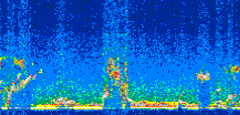 /calipso-imagery/data/BROWSE/production/V5-00/2017-01-13/2017-01-13_23-18-53_V5.00_3_thmb.png image missing