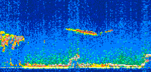 /calipso-imagery/data/BROWSE/production/V5-00/2017-01-17/2017-01-17_22-54-26_V5.00_3_thmb.png image missing